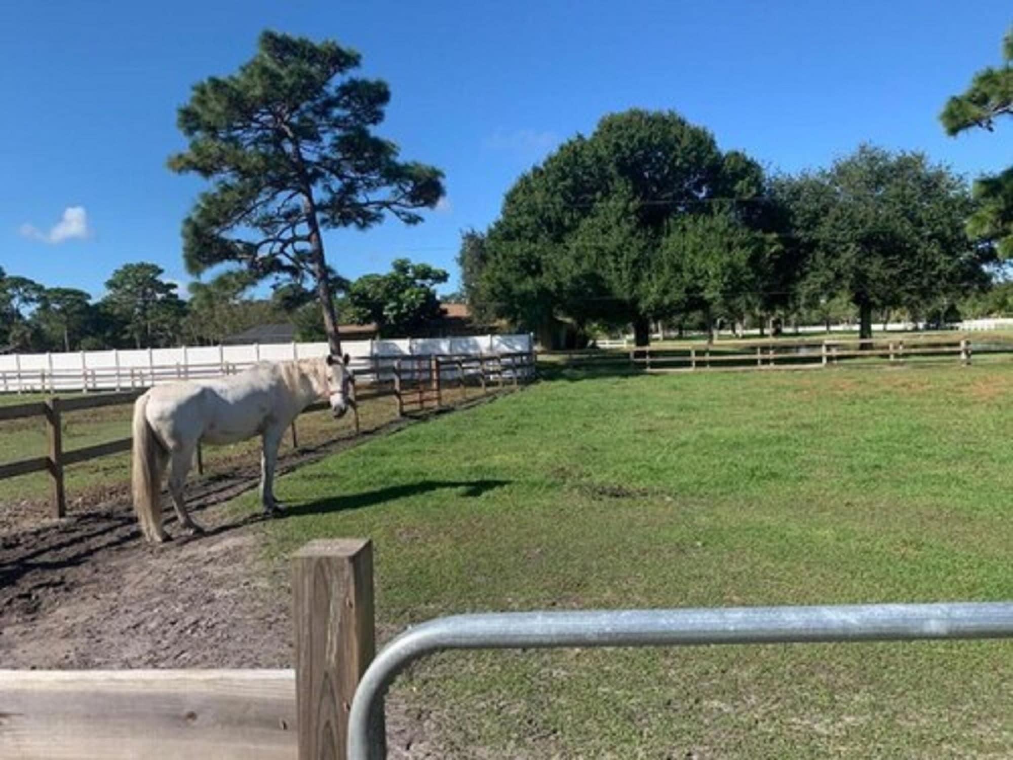מלון Oyo Family Ranch At Melbourne Fl מראה חיצוני תמונה